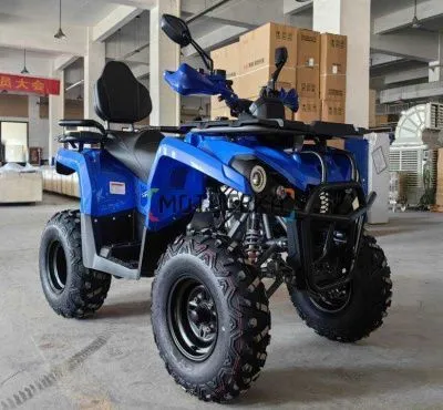 Квадроцикл Мотомир Hammer 200 синий (машинокомплект)