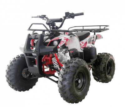 Квадроцикл детский WELS (Велс) ATV Thunder 125 (машинокомплект)